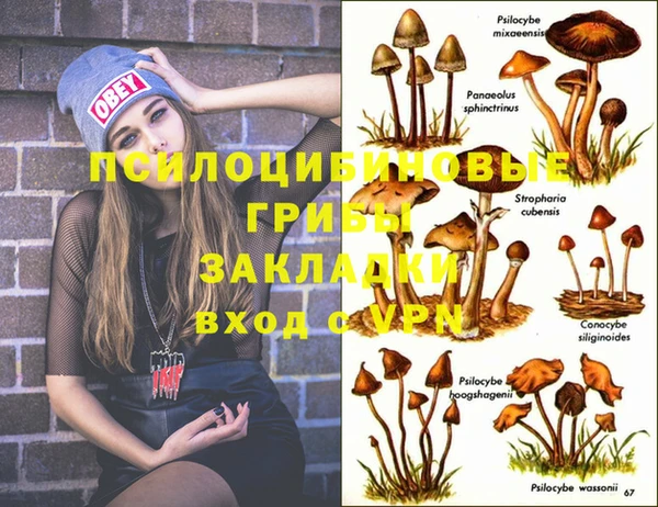 не бодяженный Армянск