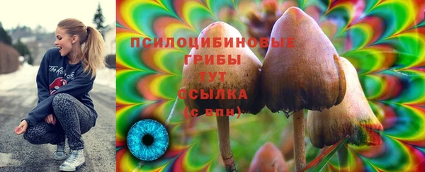 MESCALINE Арсеньев