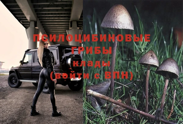 MESCALINE Арсеньев
