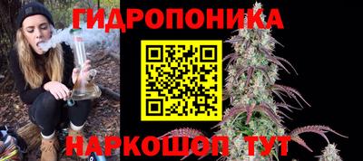 молекула духа Бердск