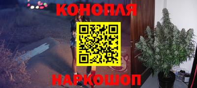 молекула духа Бердск