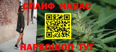 стаф Белореченск