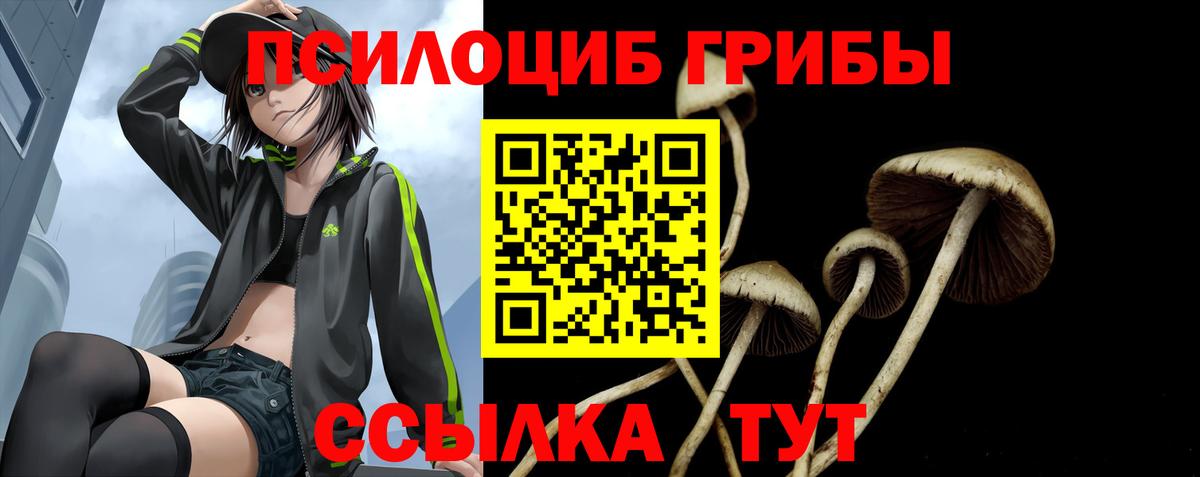 Белогорск  Галлюциногенные грибы прущие грибы  Галлюциногенные грибы мухоморы  Вход с VPN 